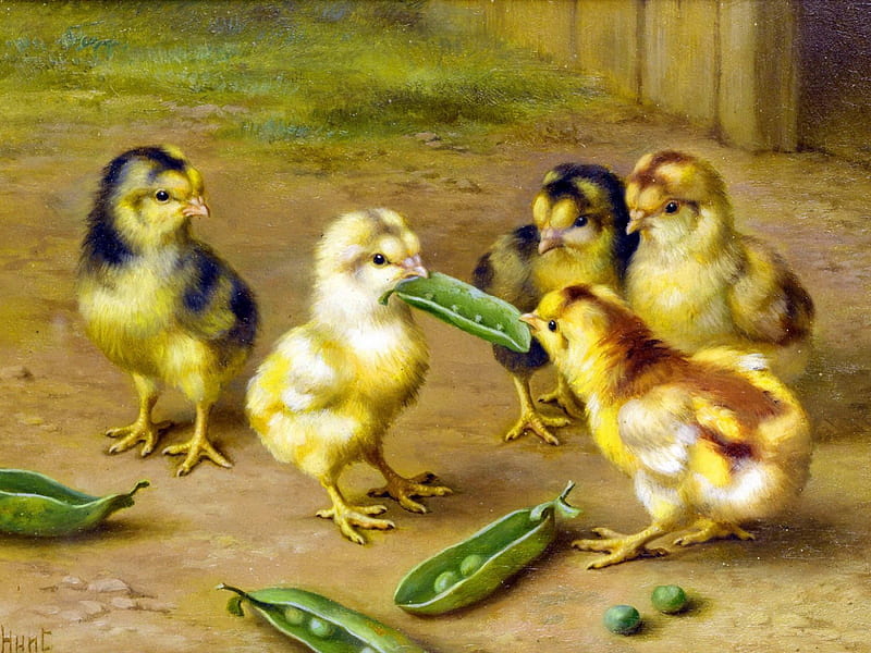 The tug of war, playing, pretty, art, guerra, chicken, adorable, bean, yard, sweet, cute, painting, funny, tug, friends, animals, HD wallpaper