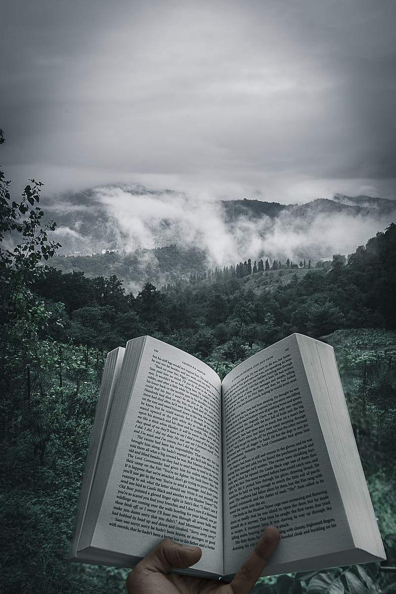 person holding open book viewing mountain view, HD phone wallpaper
