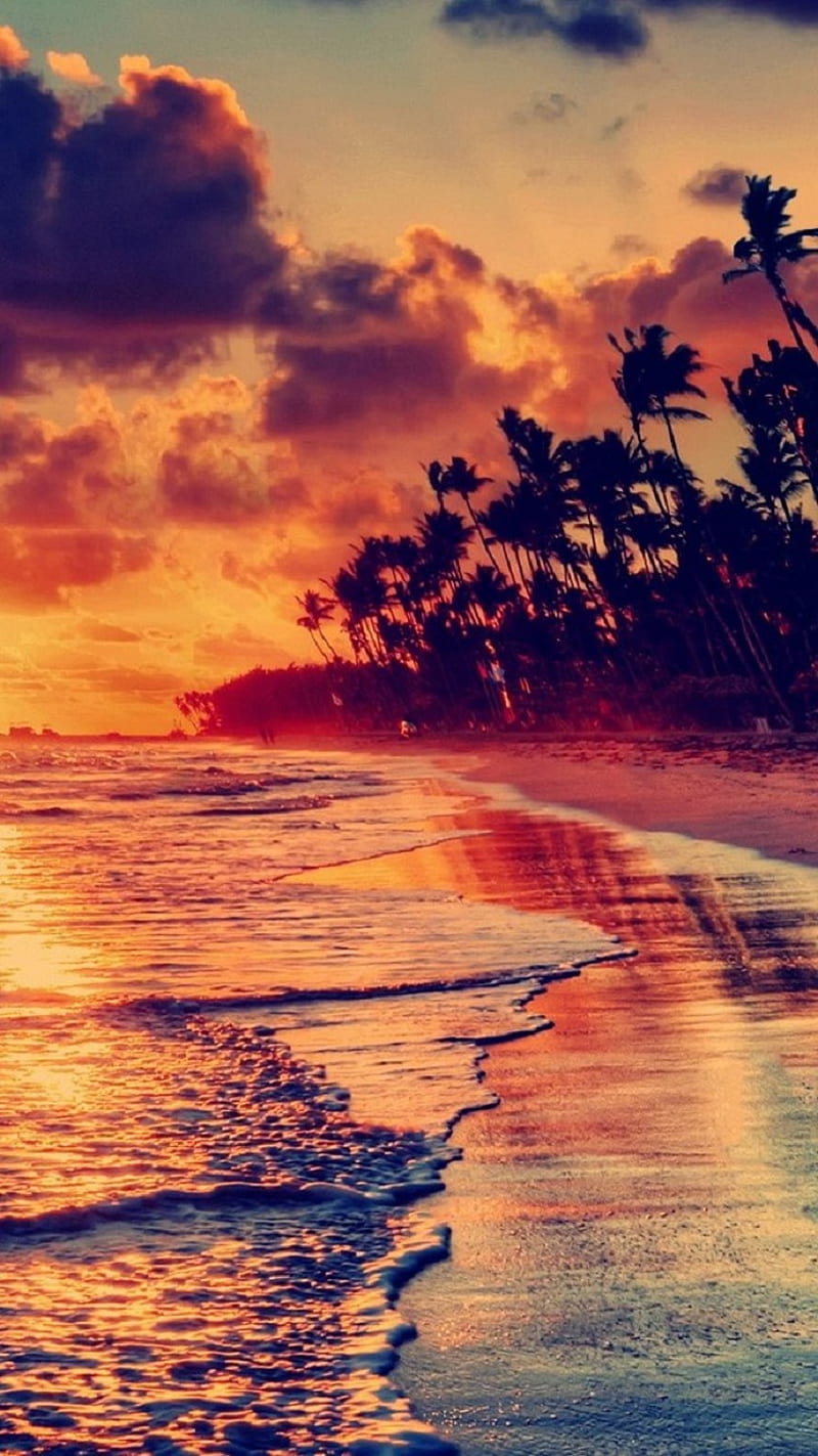Sunset Beach View, clouds, fire, nature, waves, HD phone wallpaper