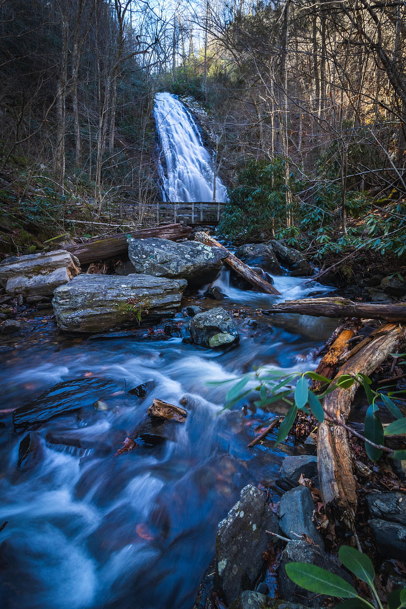 waterfall, river, stones, logs, trees, HD phone wallpaper