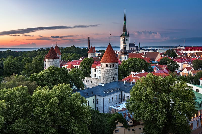 Cities, City, Building, Tree, Church, Estonia, Tallinn, HD wallpaper