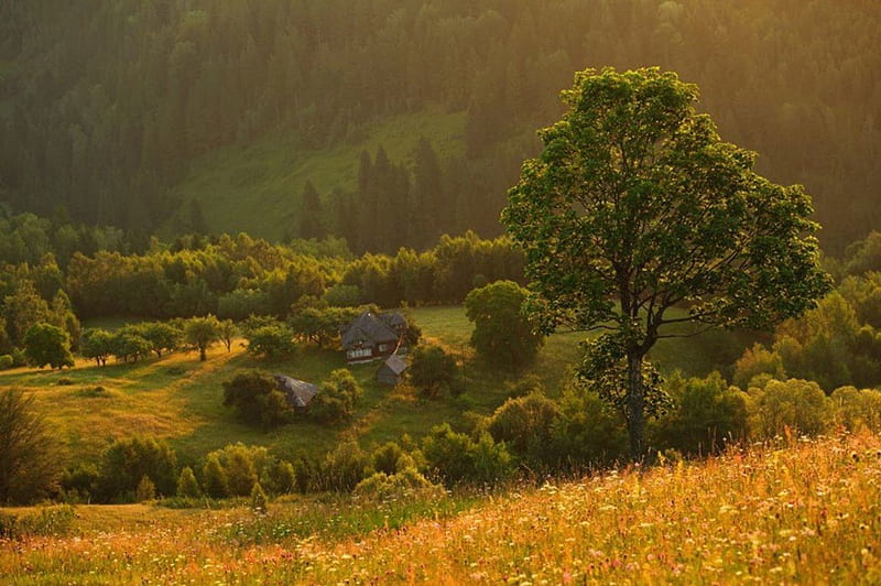 Mountains of Romania, atat, de, este tara mea, frumoasa, HD wallpaper