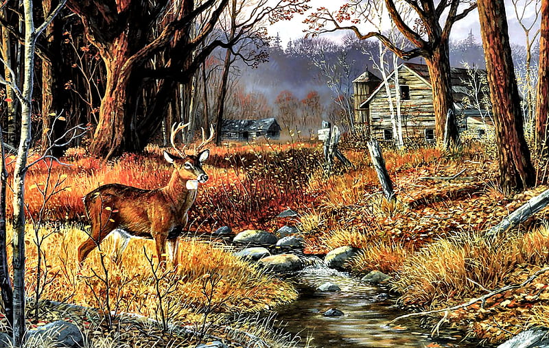 Forgotten Valley - Deer, art, buck, bonito, illustration, artwork, deer ...