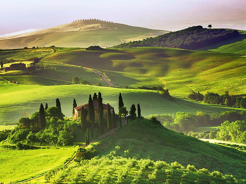 Tuscan Vineyards, hills, cypresses, villa, trees, italy, HD wallpaper
