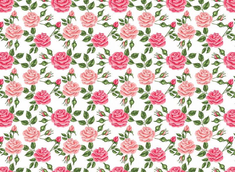 Texture, rose, patern, trandafir, green, summer, flower, paper, white, pink, HD wallpaper