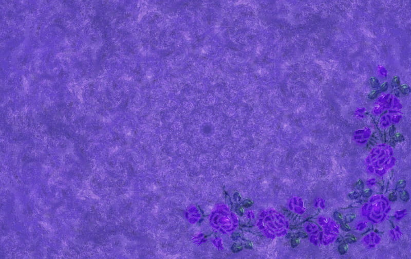 Violeta, flores, morado, textura, Fondo de pantalla HD | Peakpx