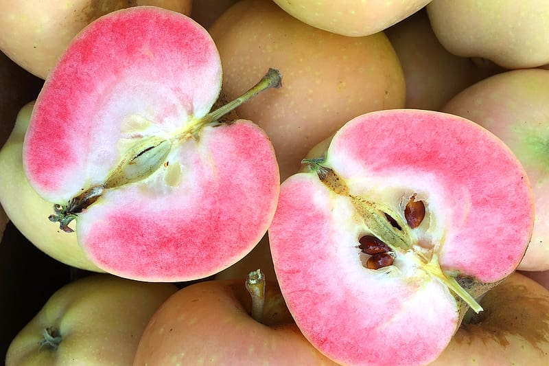 :), slice, pink, green, apple, fruit, mar, HD wallpaper