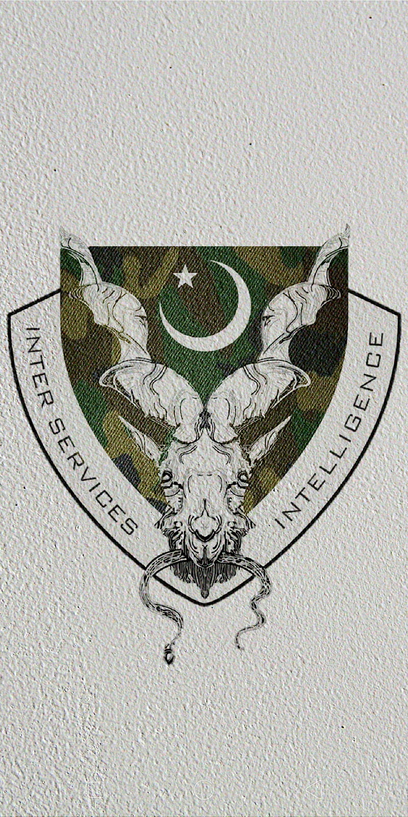 ISI Pakistan, isi, isi agency, isi agent, pak army, pakistan commandos, pakistan flag, pakistan isi, specialservice group, ssg commandos, HD phone wallpaper