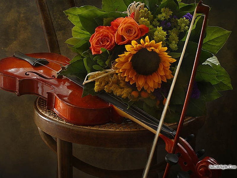 SOUNDS OF SILENCE, still life, sunflowers, violins, musical instruments, chairs, flowers, HD wallpaper