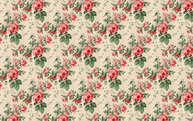 Texture, pattern, green, rose, flower, paper, pink, HD wallpaper