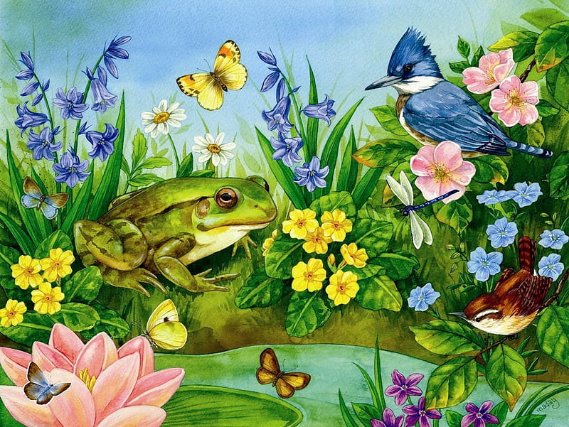 Garden Pond, frog, bird, painting, bluejay, flowers, blossoms, butterflies, artwork, HD wallpaper