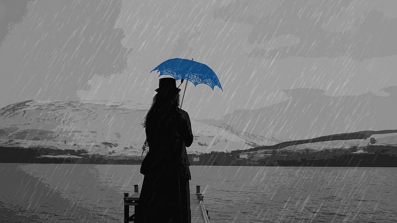 November Rain, black and white, umbrella, rain, blue, HD wallpaper