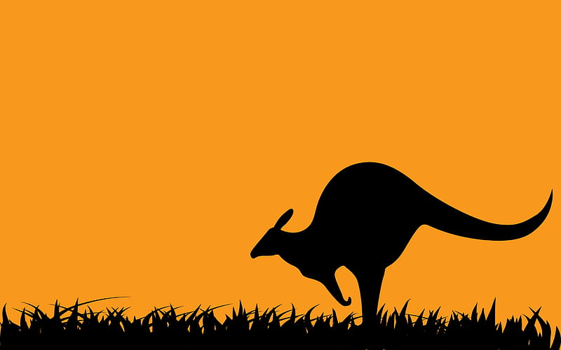 Kangaroo !, australia, sunset, kangaroo, jumping, HD wallpaper