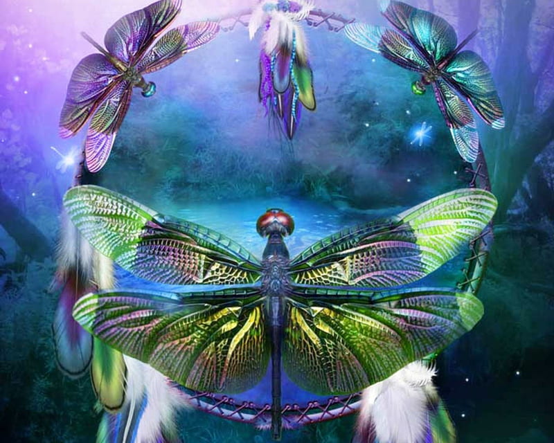 ✫Dragonfies of Spiritual✫, pretty, background, bonito, digital art, spiritual, bright, butterfly designs, feathers, insects, animals, lakes, wings, lovely, colors, creative pre-made, trees, cute, cool, dragonflies, plants, flying, nature, reflections, HD wallpaper