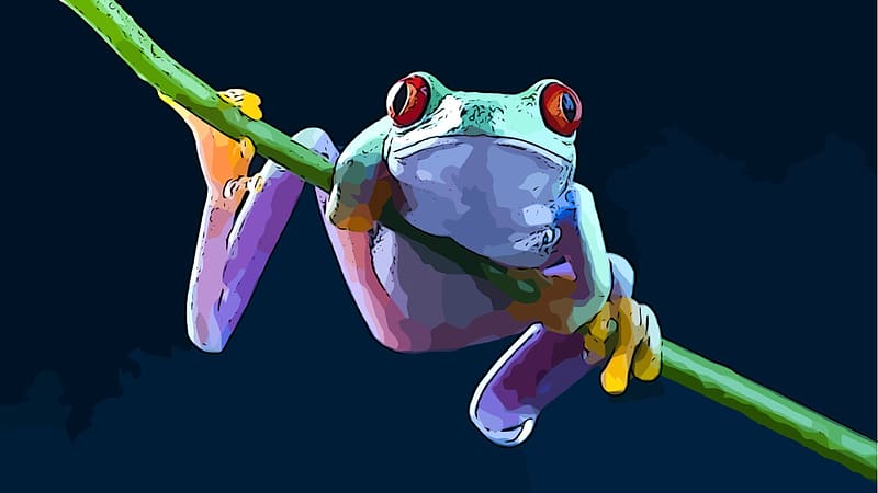 Frogs, Animal, Tree Frog, Red Eyed Tree Frog, HD wallpaper | Peakpx