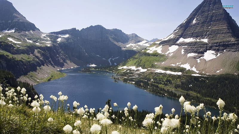 Glacier National Park, Coeur d'Alene, Montana, water, snow, mountains, flowers, landscape, HD wallpaper