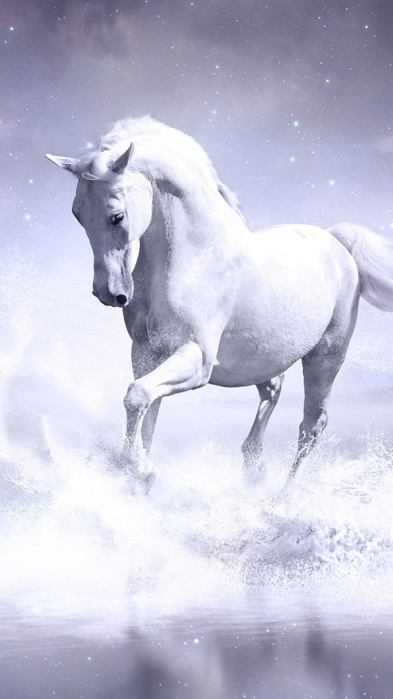 White Horse , white horse, animal, art, sky, HD phone wallpaper