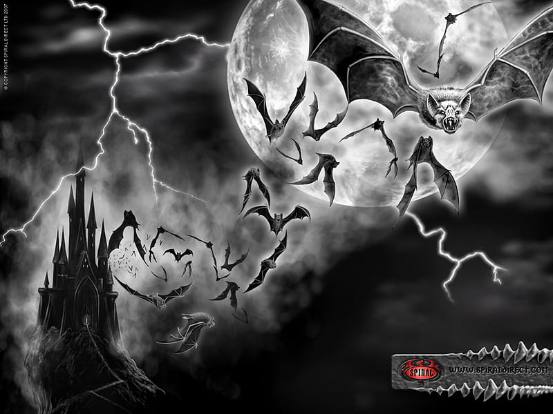 Goth Nights moon bats night HD wallpaper  Peakpx