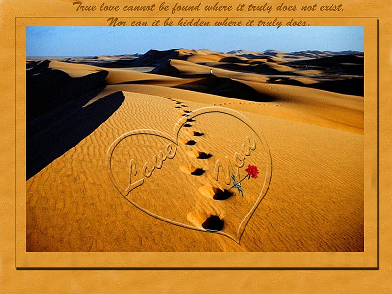 True Love..., rose, Valentines, Valentines Day, sand, sand dunes, quote, love, heart, Valentine, footsteps, HD wallpaper