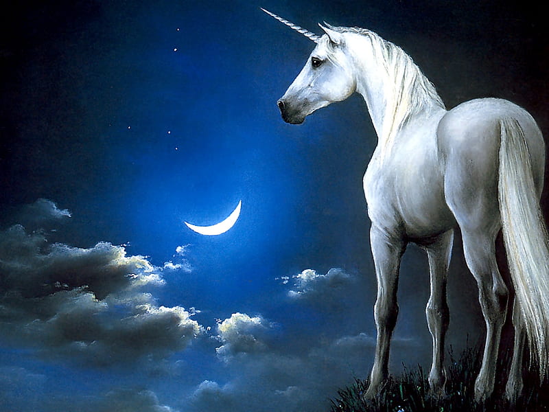 Unicorn Fantasy Horse Horses Hd Wallpaper Peakpx