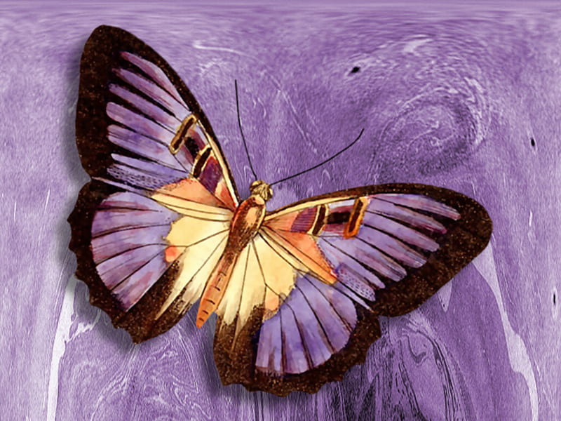Purple Abstract Butterfly F1C, kt, art, fantasy, butterfly, paint shop pro, abstract, HD wallpaper