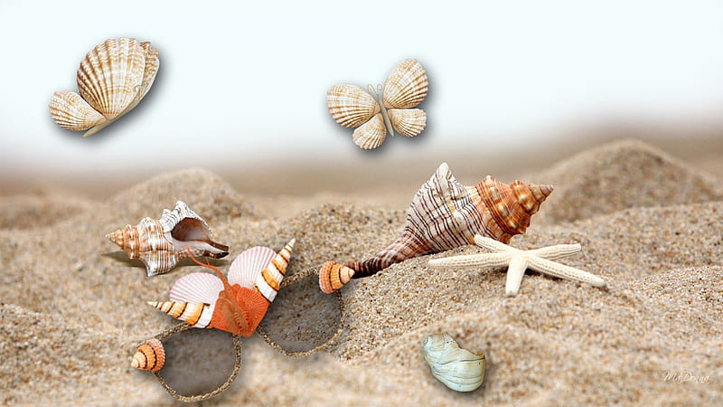 Sea Shells by the Sea, seashells, shore, sea shells, sky, star fish, beach, sun glasses, sand dollar, sand, butterfly, summer, shells, HD wallpaper