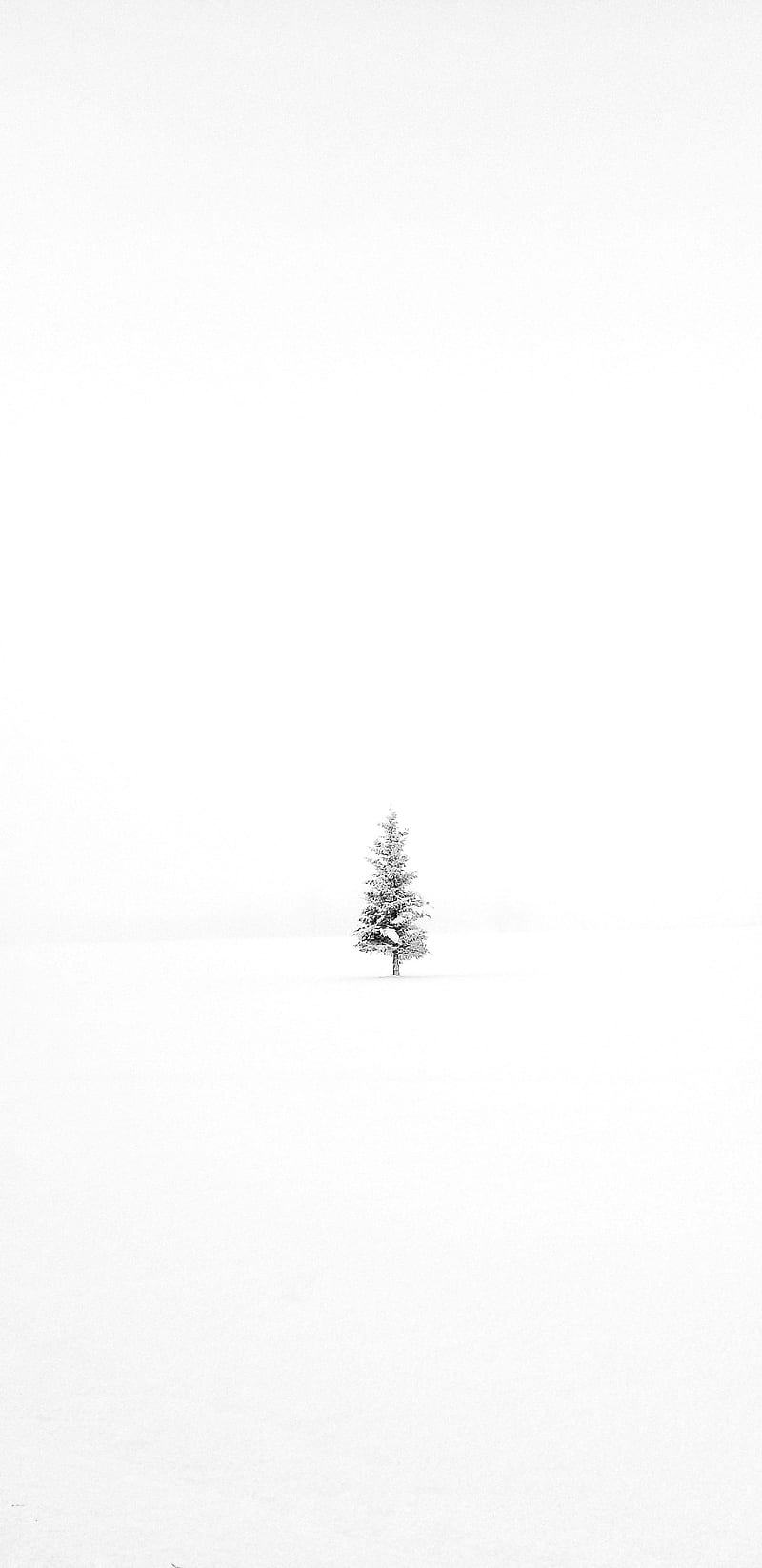 Minimalist Winter, landscape, minimal, snow, tree, white, world, HD phone wallpaper