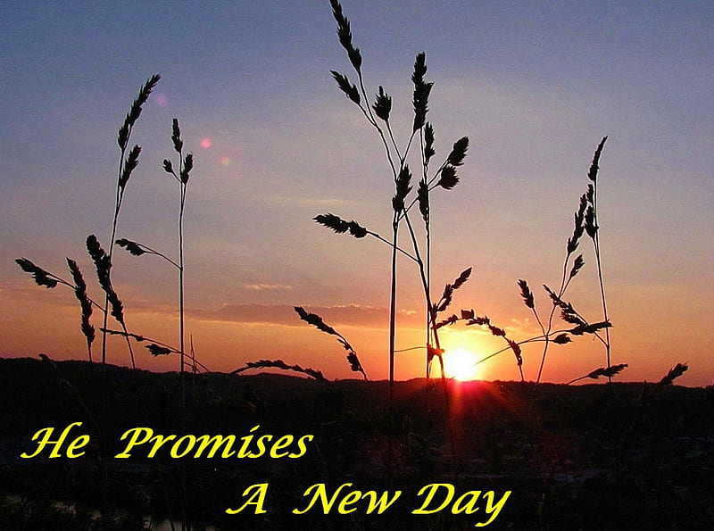 God Promises, sun, grass, religious, sunset, sky, valley, inspirational, promise, God, nature, sunrise, field, HD wallpaper