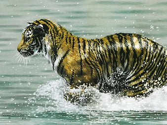 Laufendes Tiger Hintergrundbild HD