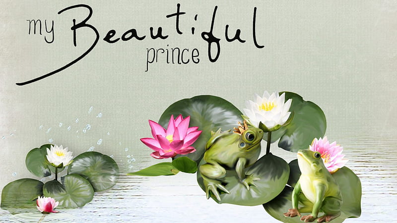My Beautiful Prince, frogs, lilies, spring, prince, water lilies, pond, green, summer, pods, HD wallpaper