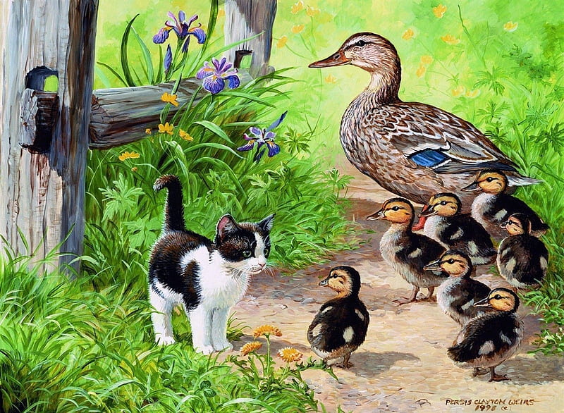:), art, persis clayton weirs, cute, vara, green, bird, duck, garden, painting, summer, pisici, pictura, duckling, kitten, HD wallpaper