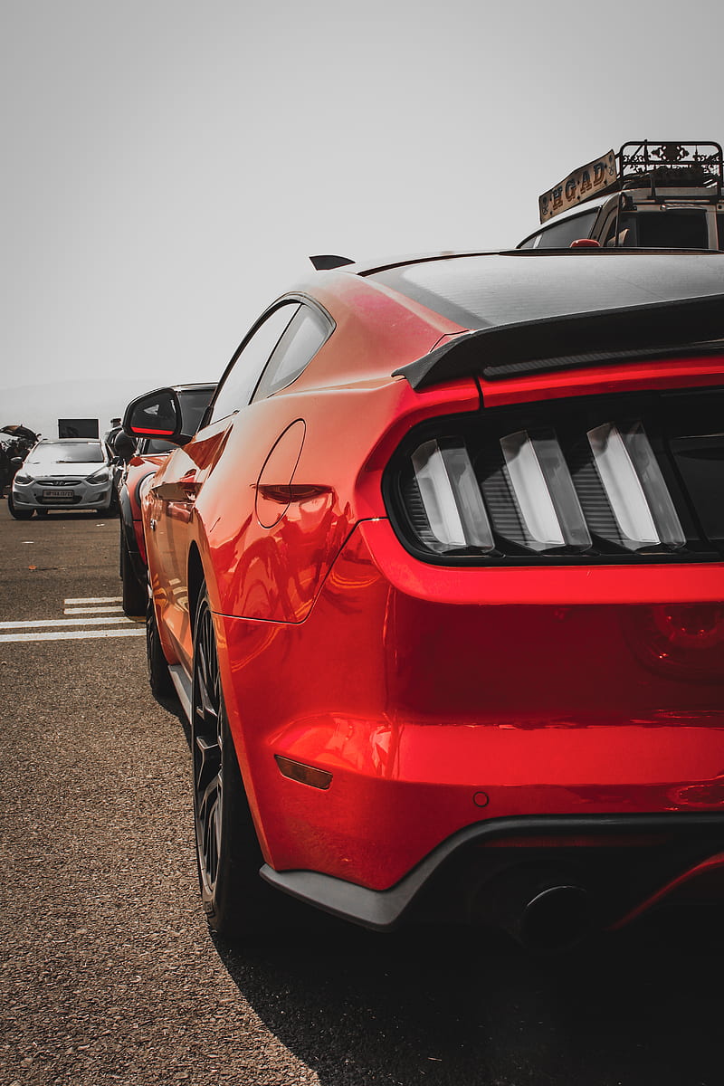 Mustang gt, automobiles, automotive, car , ford mustang, , mustang , red mustang, supercars, HD phone wallpaper