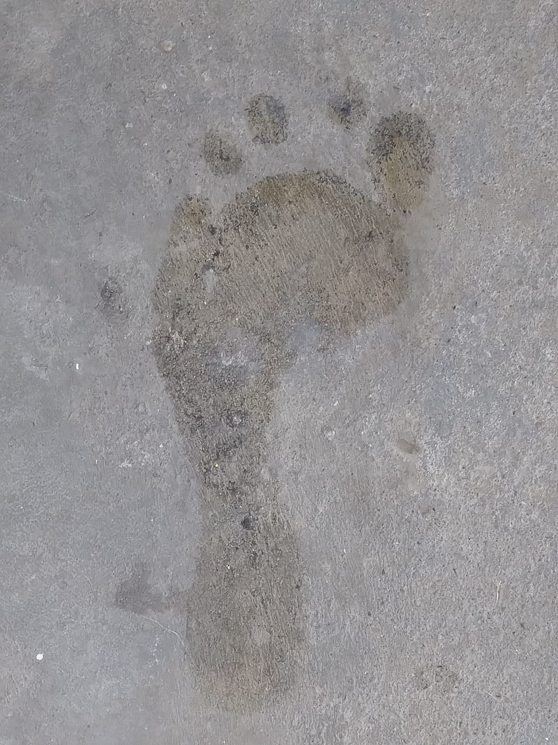 Foot, imprint, wet, HD phone wallpaper