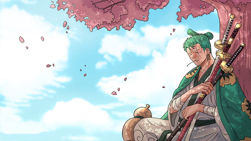 Roronoa Zoro Computer Wallpapers, Desktop Backgrounds, 1920x1080, ID:539380