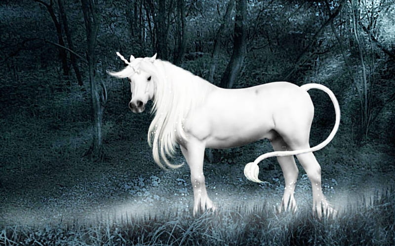Unicorn in the mist, forest, silvery, grass, stands, HD wallpaper