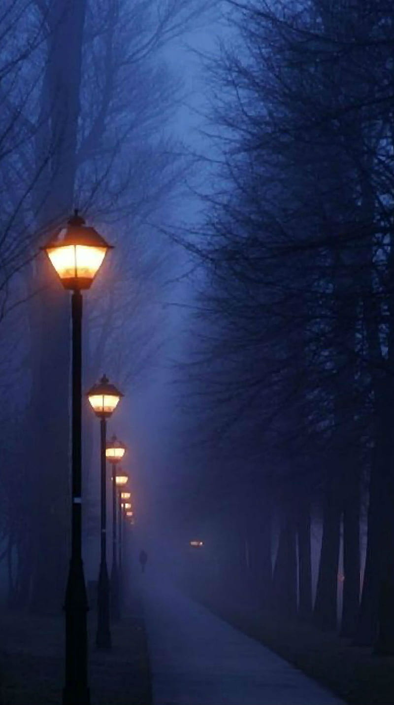 Paris - Foggy Night, fog, france, lamp, lamps, path, pathway, street, HD phone wallpaper