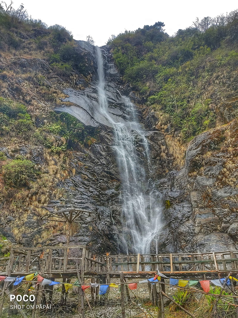 NIT Sikkim