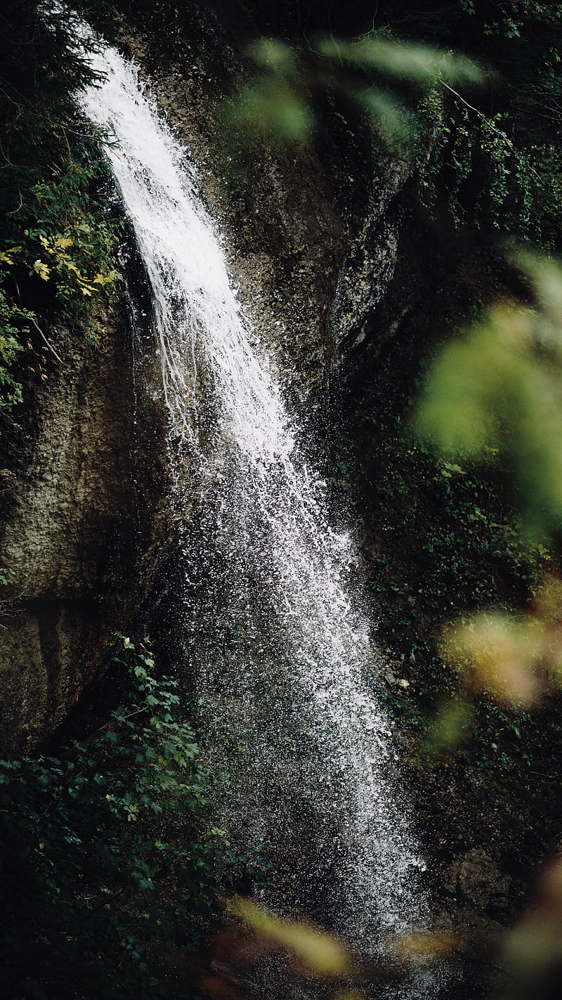 waterfall, stream, branches, spray, HD phone wallpaper