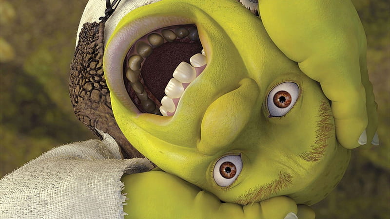 Shrek Face 51300 px, Shrek Meme, HD wallpaper
