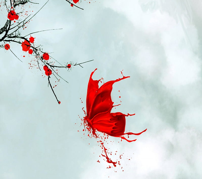 Red butterfly wallpaper by luvmadi0  Download on ZEDGE  6935