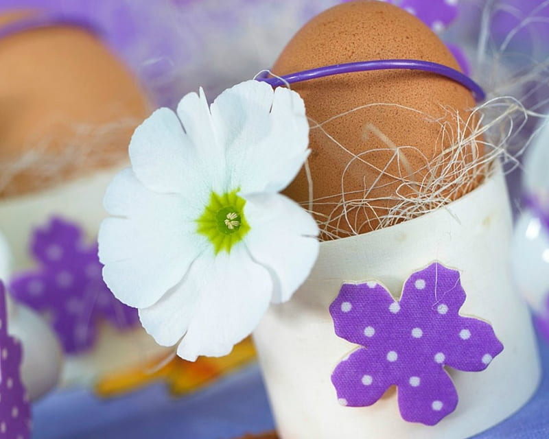 Easter Eggs, eggs, cup, Easter, flowers, HD wallpaper