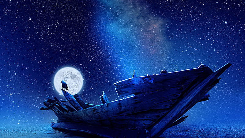 Bird on shipwreck in the moonlight, high definition, clouds, magic nights, seagull, wrack, wreck, beach, nice, shipwreck, shadows, gull, moonlit, black, sky, abstract, silhouette, mew, cool, awesome, moonlight, white, starry sky, renderized, wreckage, bonito, high quality, digital art, sea, moon, sea-mew, blue, night, stars, amazing, colors, saddleback, bird, ship, HD wallpaper