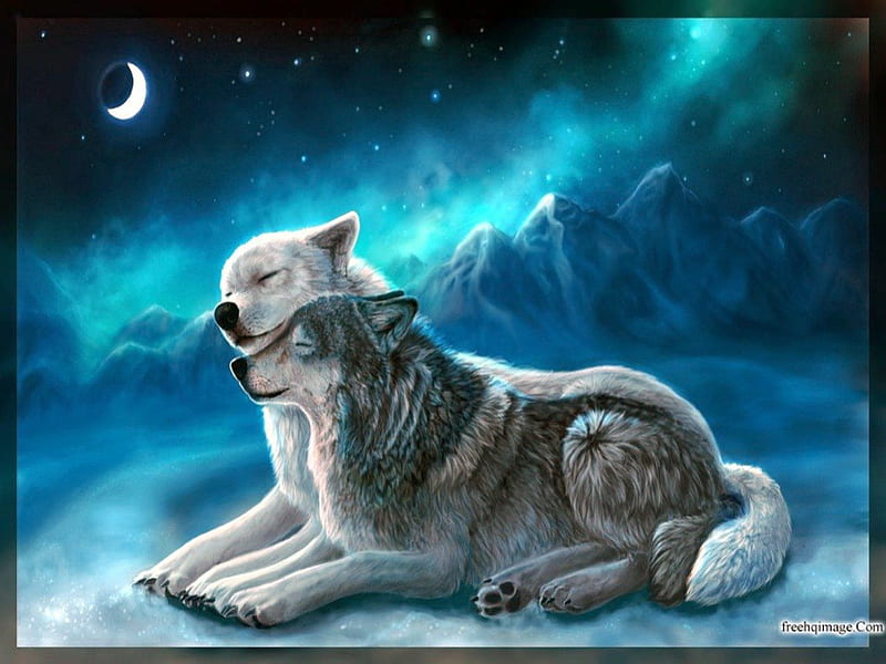 love, two, wolves, together, HD wallpaper