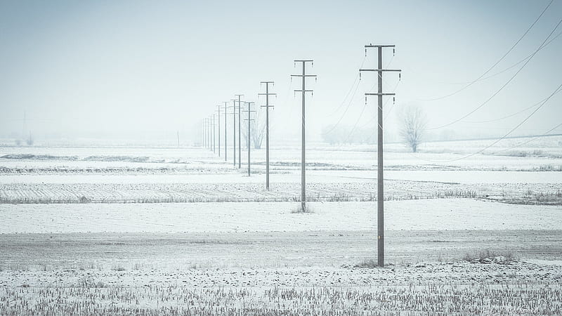 Man Made, Power Line, Field, Fog, Winter, HD wallpaper