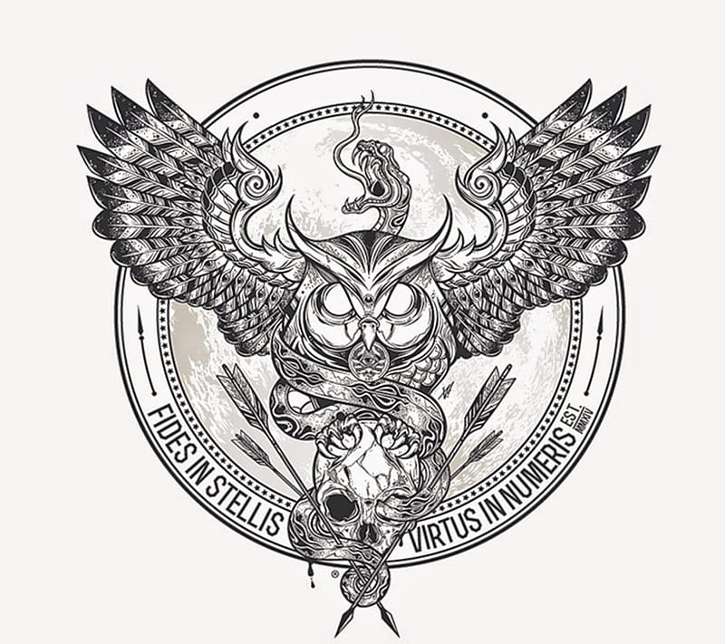 3rd Owl , dope, numbers, skull, snakes, squad, stars, strength, symbols, warrior, HD wallpaper