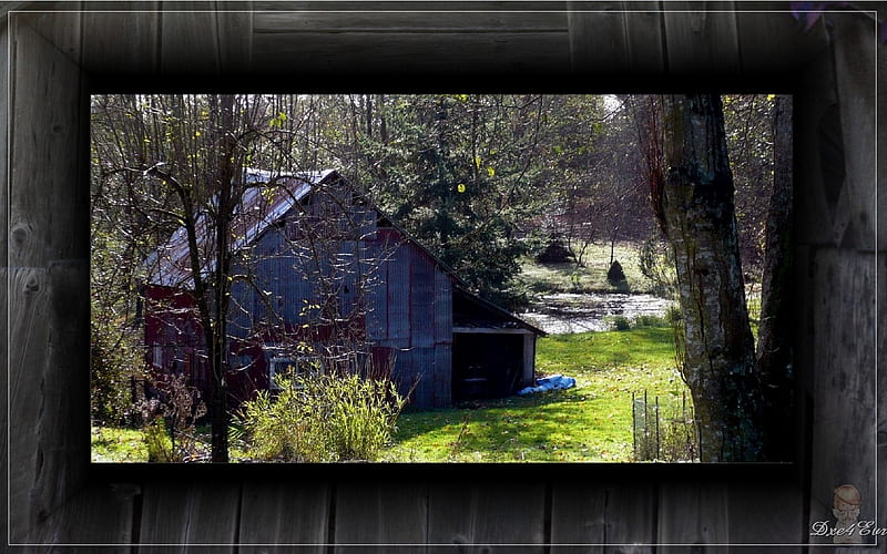 Just Another Old Barn, farm, fall, , washington, framed, wood, barn, HD wallpaper