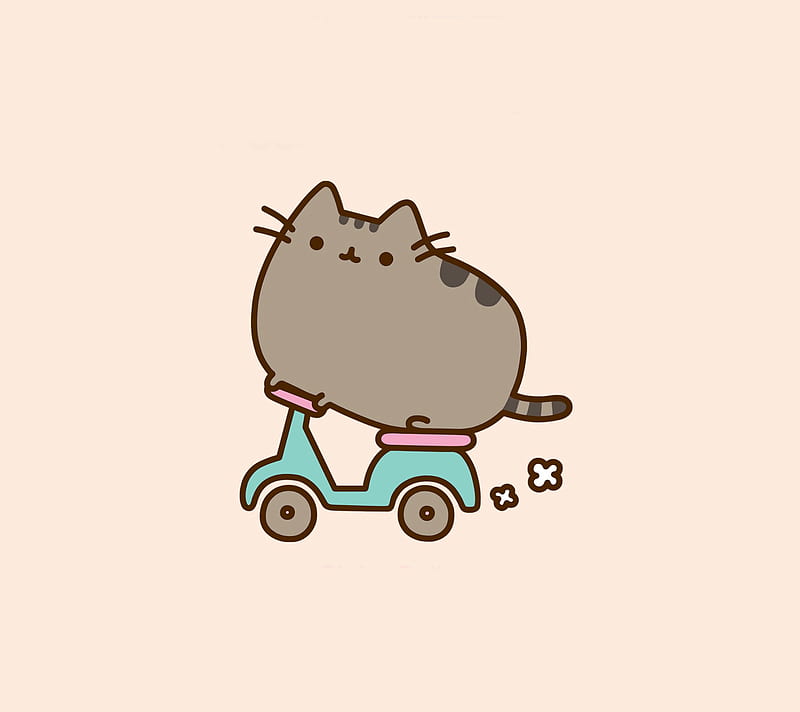 Kawaii Neko4, cat, neko, pusheen, scooter, HD wallpaper