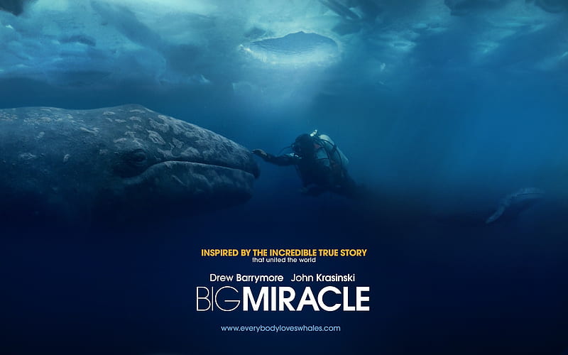 Big Miracle 2012 Movie s 04, HD wallpaper