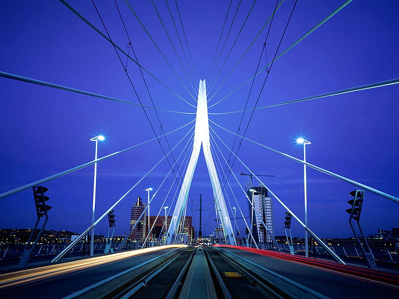 Erasmus bridge, Rotterdam, netherlands, modern, bridge, blue, night, HD wallpaper