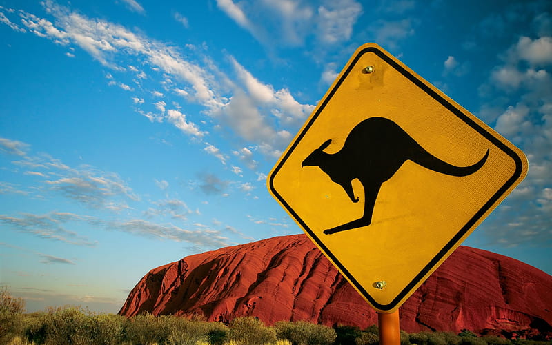Roos at Uluru, desert, kangaroo, grass, roo, ayres rock, outback, sign, sky, grasses, australia, oz, HD wallpaper